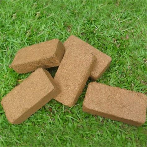 Our coco peat in mombasa is processed from coconut husks to create a good alternative for propagating seedlings and flower production. Coco Peat Brick, Cocopeat Brick Manufacturers, Suppliers ...