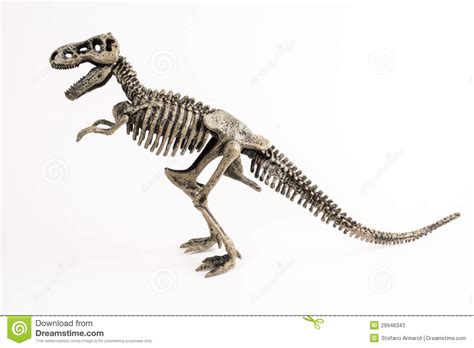 It's also the trackways left by dinosaurs as they sploshed through. T-rex Stock Photos - Image: 29948343