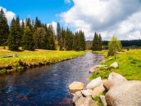 Mountain River On Sunny Day Stock Image Image Of Forest Bright 72688643