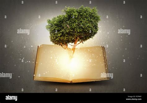 Conceptual Image With Green Tree Growing From Book Stock Photo Alamy