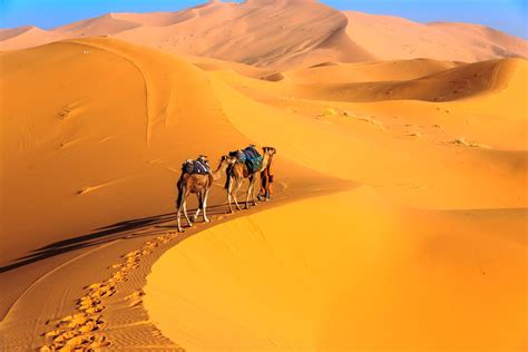 4 Days Desert Trip To Merzouga Sahara And Camel Ride From Marrakech 4