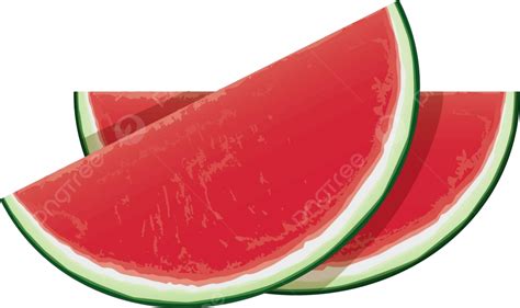 Seedless Watermelon Food Portion Isolated Vector Food Portion
