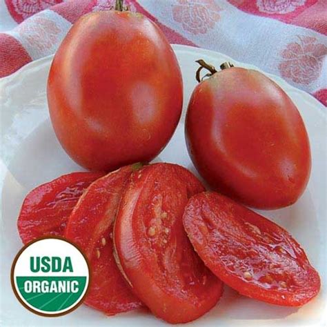 Seed Savers Amish Paste Tomato Seeds South Dakota Agricultural