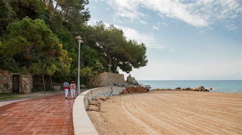 Playa Fenals A Lloret De Mar Tour E Visite Guidate Expedia It
