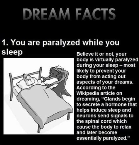 Things You Didnt Know About Your Dreams 10 Pics