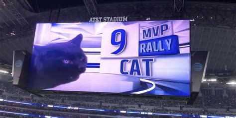The Cowboys Announced The Cat From Last Weeks Mnf Game Vs Giants As
