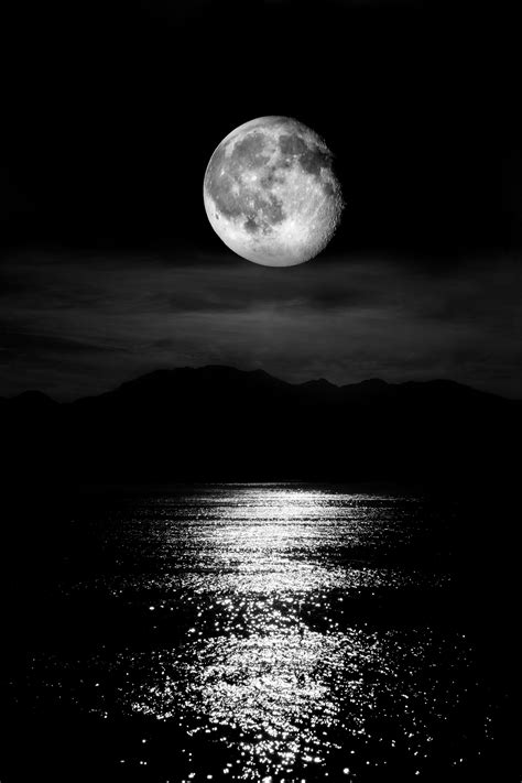 Review Of Black And White Moon Wallpaper 2023