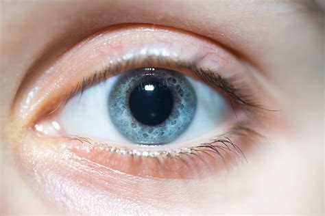 Dilated Pupils Symptoms Causes And Treatment