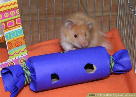 3 Ways To Make Toys For Hamsters Wikihow