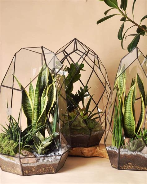 Handcrafted 80 Cm Terrarium With Plants Plants Terrarium Decor