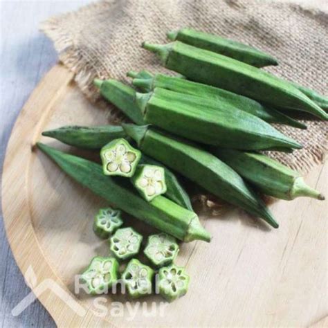 Baik daging sapi atau pun daging ayam, keduanya bisa diolah menjadi aneka masakan daging yang lezat. Masakan Okra Daging Sapi / 7 Pilihan Menu Olahan Okra ...