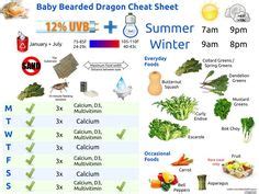 See more ideas about bearded dragon, bearded dragon food, bearded dragon diet. Growth chart | bearded dragon | Pinterest | Dragon, Charts ...