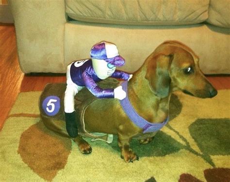 Wiener Dogs In Halloween Costumes — Thats One Of Our Favorite Things