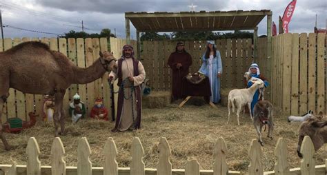 live nativity scenes