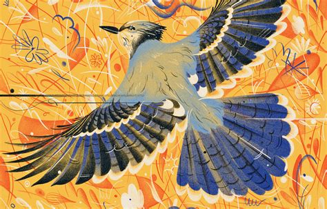 Reimagining the Blue Jay | Audubon