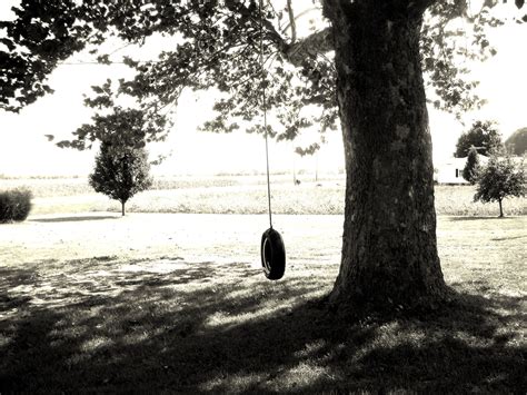 Lots Of Memories On The Tire Swing Tire Swing Silhouettes Tree Trunk