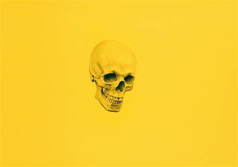 Aesthetic Skull Desktop Wallpapers Wallpaper Cave