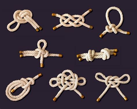 Decorative Sailor Knots Shelly Lighting