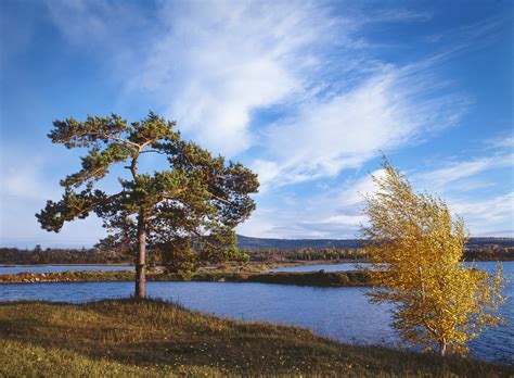 russia, Rivers, Sky, Trees, Siberia, Nature Wallpapers HD / Desktop and ...