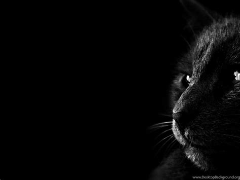 Check spelling or type a new query. Dark wallpapers hd wallpaper download xpx hd wallpaper ...