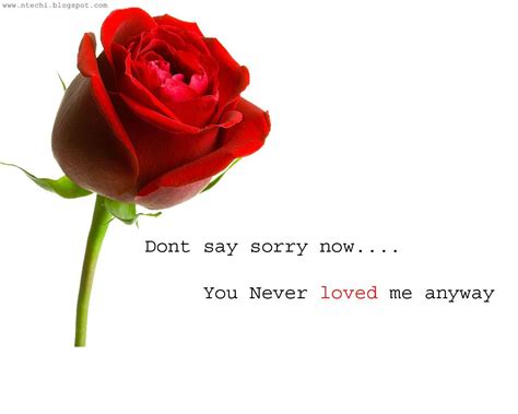 Sorry Love You Wallpapers Wallpaper Cave