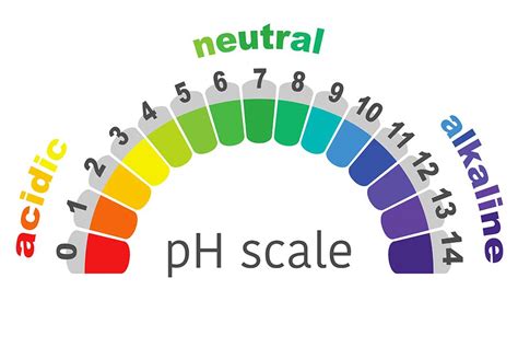 Ph Scale Of Water