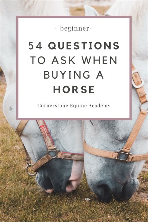 54 Questions To Ask Before Buying A Horse Buy A Horse Horse Facts