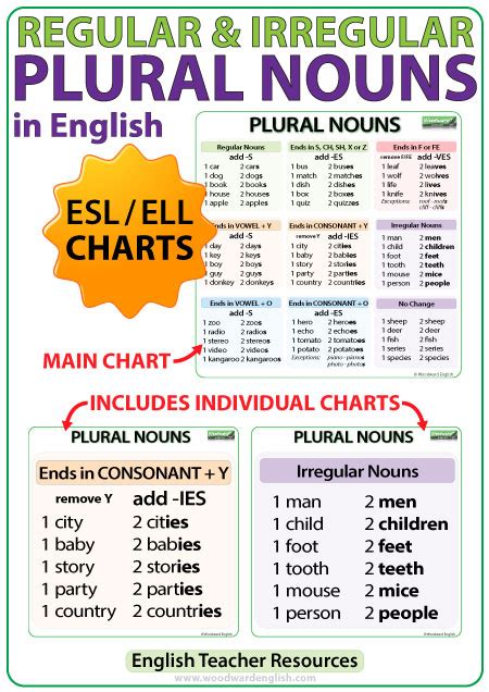 It's a race to finish and the planes are fueled by your correct answers! Plural Nouns Charts - Regular & Irregular Nouns in English ...
