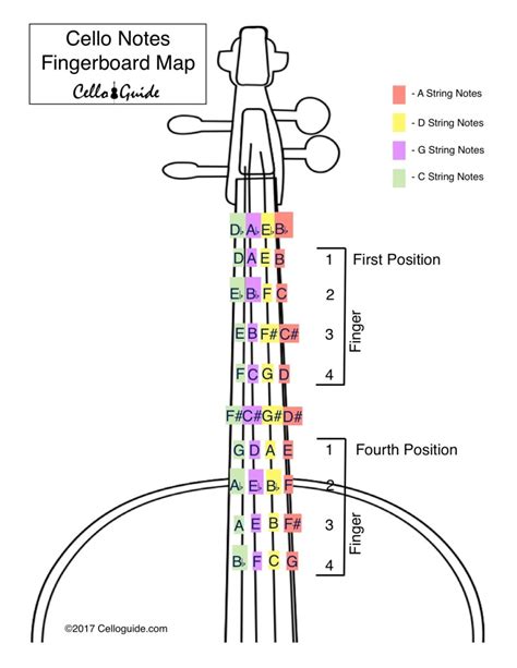 Printable Cello Fingerboard Chart