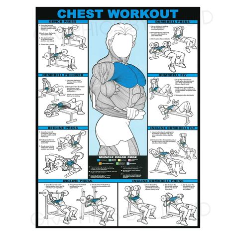 Chest Workout Chart Image Eoua Blog