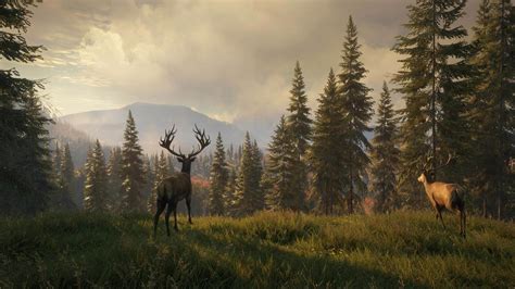 Harrim class was changed to sacred fist warpriest and stats to 17/14/14/10/16/8 theHunter: Call of the Wild