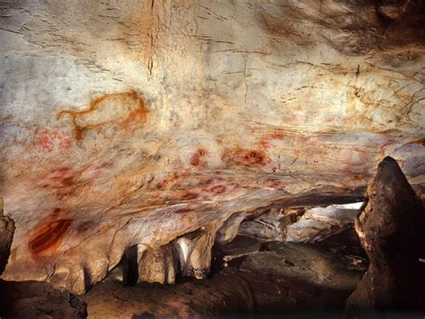 Prehistoric Cave Prints Show Most Early Artists Were Women Nbc
