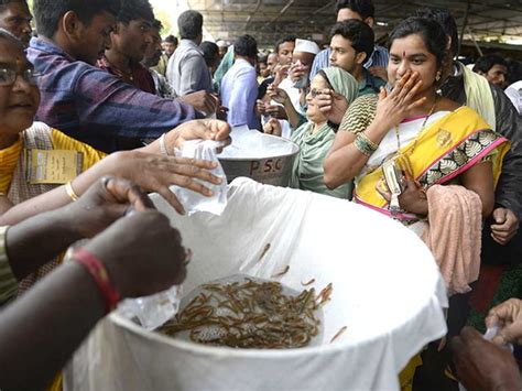 Indians Swallow Live Fish To Cure Asthma India Gulf News