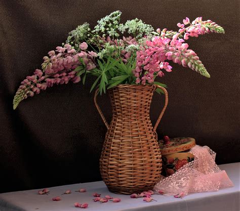 3000x2640 Lupine Vase Pink Flower Still Life Wallpaper