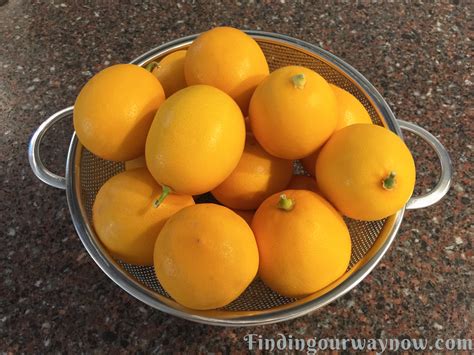 Preserved Lemons My Way: #Recipe - Finding Our Way Now
