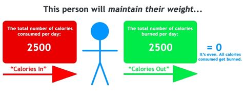 It takes multiple days of excess calories to increase your body fat to the point of gaining a pound. Diet Plan - Daily Calorie, Protein, Fat & Carb Intake ...