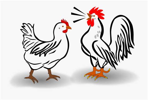 Desain gambar kandang ayam bangkok. Log In - Sketsa Ayam Jantan Berkokok , Free Transparent ...