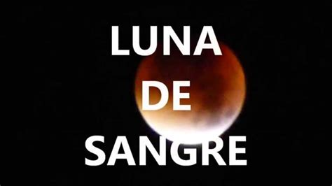 Cdlxxxiv Luna De Sangre Regresión Youtube