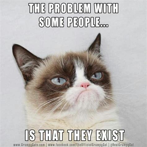 I Agree Angry Cat Grumpy Cat Quotes Funny Grumpy Cat Memes Grumpy