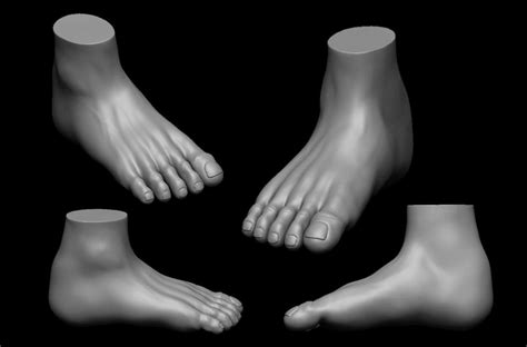 Free Foot Highpoly Free 3d Model Cgtrader