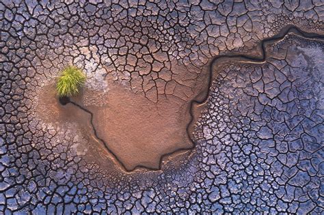 Winners Of 2020 International Landscape Photographer Of The Year Contest