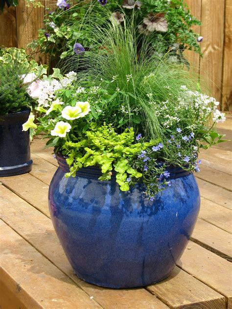 Yardzooks Container Gardening Planting Tips