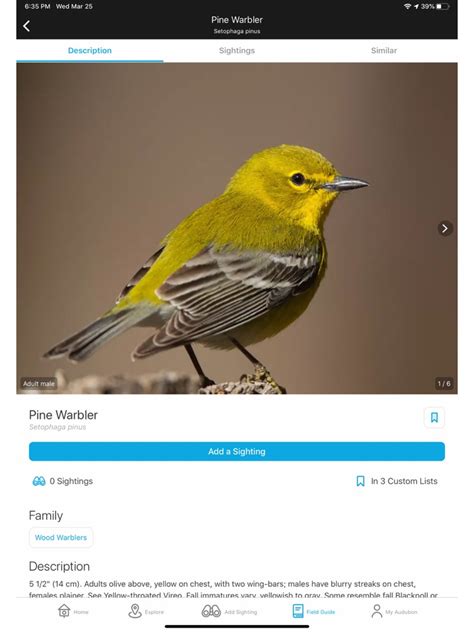 Audubon Bird Guide App For Iphone Free Download Audubon Bird Guide
