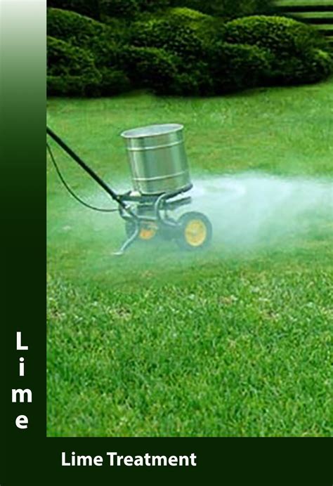 Lawn Services Lime And Grub Treatment Aeration Vegetation Control