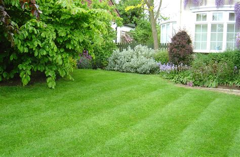 This lawn does not have a lot of grass to mow overall and has very little to trim or edge around making it a quick service for us which allows us to lower our pricing on lawns like this. Growing & Maintaining A Healthy Grass Lawn - Acegardener