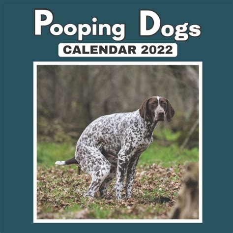 Pooping Dogs Calendar 2022 Funny Dogs Mini Calendar 2022 Month To