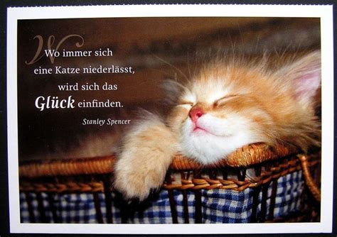 Maybe you would like to learn more about one of these? Sign in | Katzen zitate, Sprüche katze, Katzen