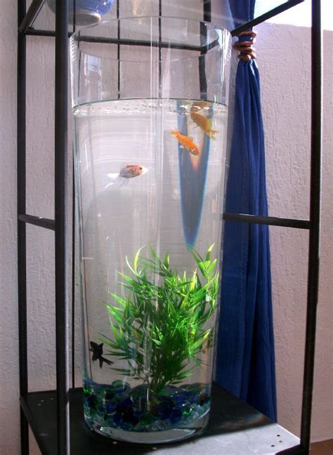 Déco Vase Aquarium