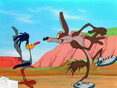 Ryans Blog Wile E Coyote And Road Runner Pictures