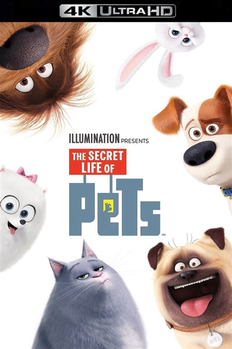 The Secret Life of Pets - Movie info and showtimes in Trinidad and Tobago - ID 1287